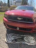 IMG_0268.jpeg