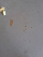 20260511_153045.jpg