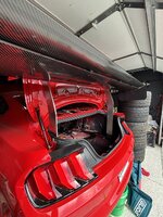IMG_9152.jpeg IMG_9152.jpeg