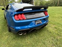 IMG_4983.jpeg