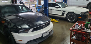BackInBlack & Donor SideBySide 2.jpg
