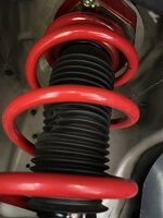 IMG_0292.jpeg