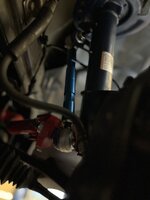 IMG_0302.jpeg