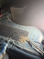 IMG_2068.jpeg