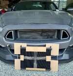IMG_2076.jpeg