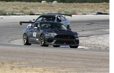 IMG_1019.jpeg