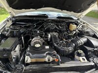 2005 Engine bay.jpeg