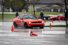 IMG_8311.jpg
