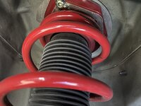 IMG_0357.jpeg