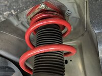 IMG_0354.jpeg