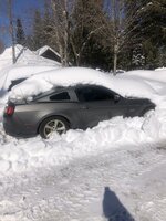 IMG_3151.jpeg