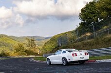 IMG_6616.jpeg