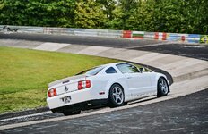 IMG_6601.jpeg