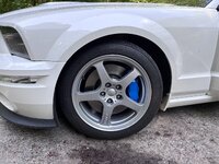 IMG_9626.jpeg