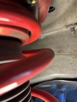 IMG_0374.jpeg