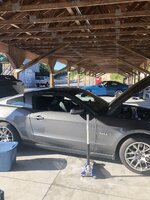IMG_1163.jpeg