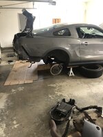 IMG_2750.jpeg