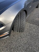 IMG_1295.jpeg
