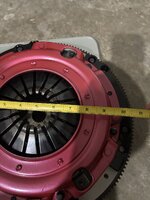 IMG_3672.jpeg
