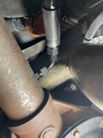 IMG_6633.jpeg