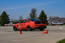 IMG_8127.jpeg