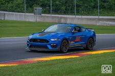 IMG_1421.jpeg
