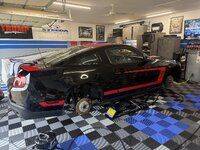 IMG_3659.jpeg