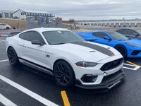 IMG_2527.jpeg