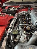 IMG_0012.jpeg