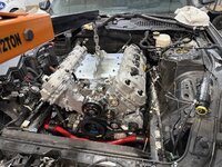 IMG_2572.jpeg