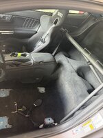 IMG_2063.jpeg