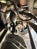 IMG_1686.JPEG