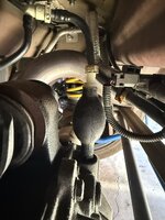 IMG_1688.JPEG