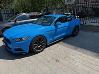 IMG_2863.jpeg IMG_2863.jpeg