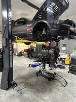 IMG_2352.jpeg