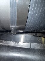 IMG_3516.jpeg