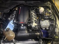 IMG_3520.jpeg