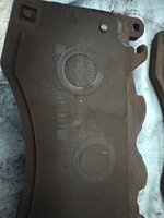 IMG_3299.jpeg