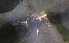 Dirty carpet 2.JPG