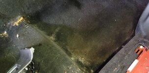 Dirty Carpet.JPG