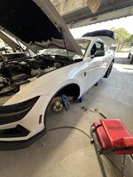 IMG_3159.jpeg IMG_3159.jpeg