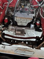 IMG_0181.jpeg