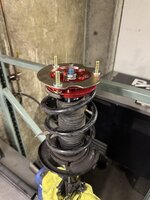 IMG_3491.jpeg