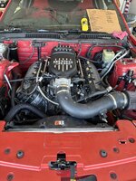 IMG_0205.jpeg