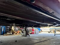 IMG_0206.jpeg