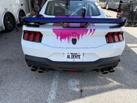 IMG_2881.jpeg