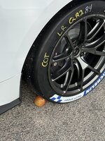 IMG_2923.jpeg