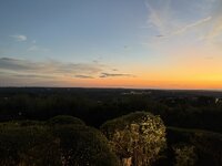 IMG_2964.jpeg
