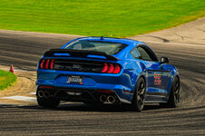 IMG_1441.jpeg