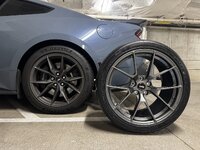 IMG_3569.jpeg